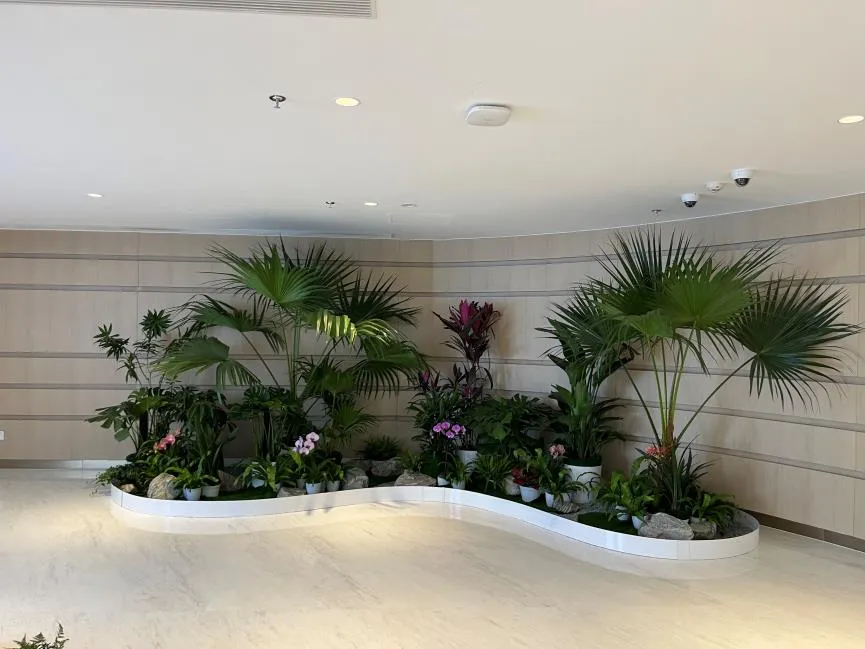 想找杭州湾花卉租摆？这家或许是你的不二之选